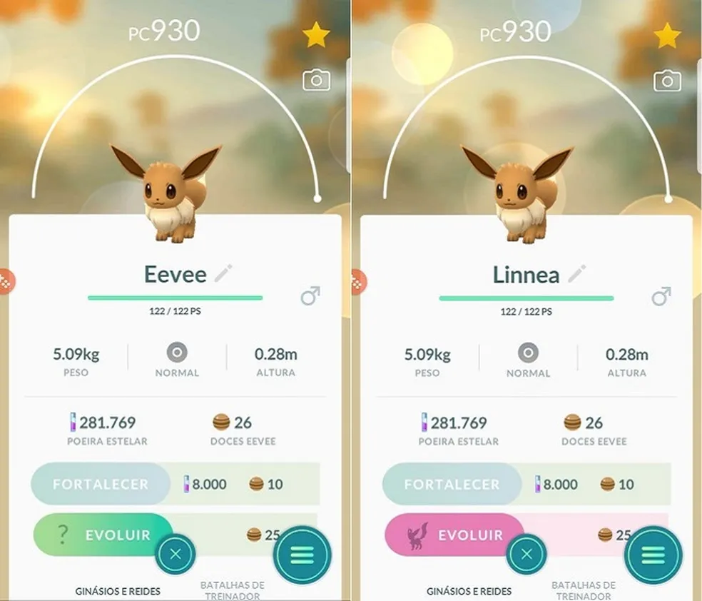 Passos Para Mudar O Nome De Eevee Para Linnea