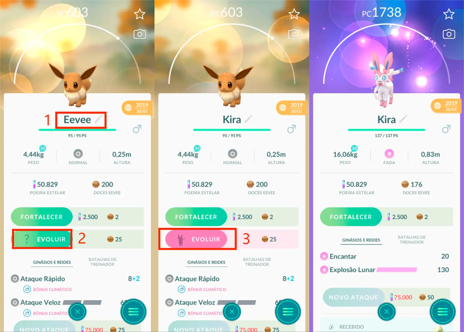 Passos Para Mudar O Nome De Eevee Para Kira