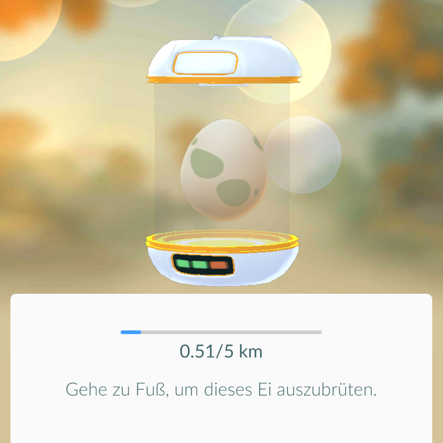 Pokémon Eier Ausbrüten 5 Km