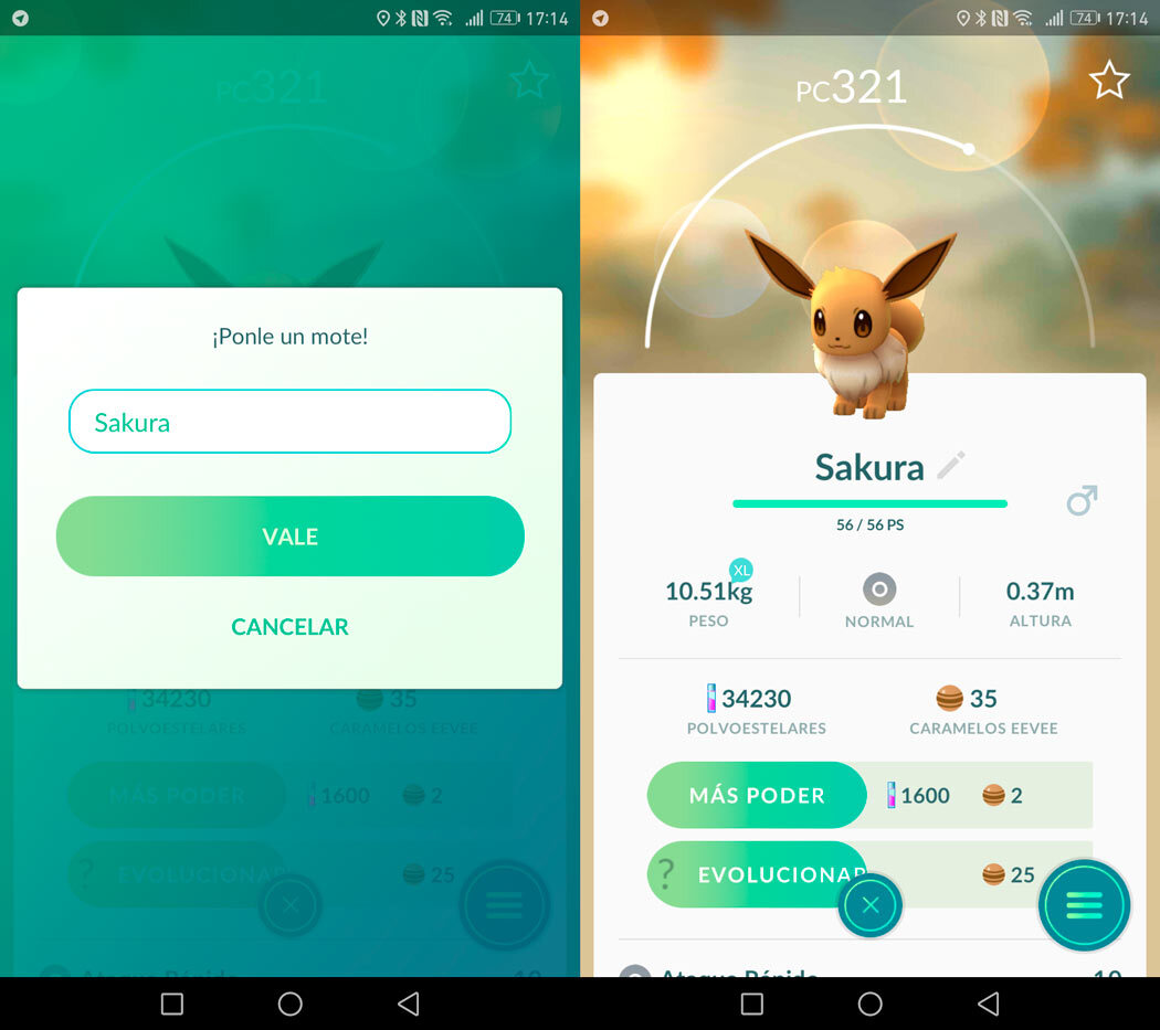 Cambia El Nombre De Eevee a Sakura