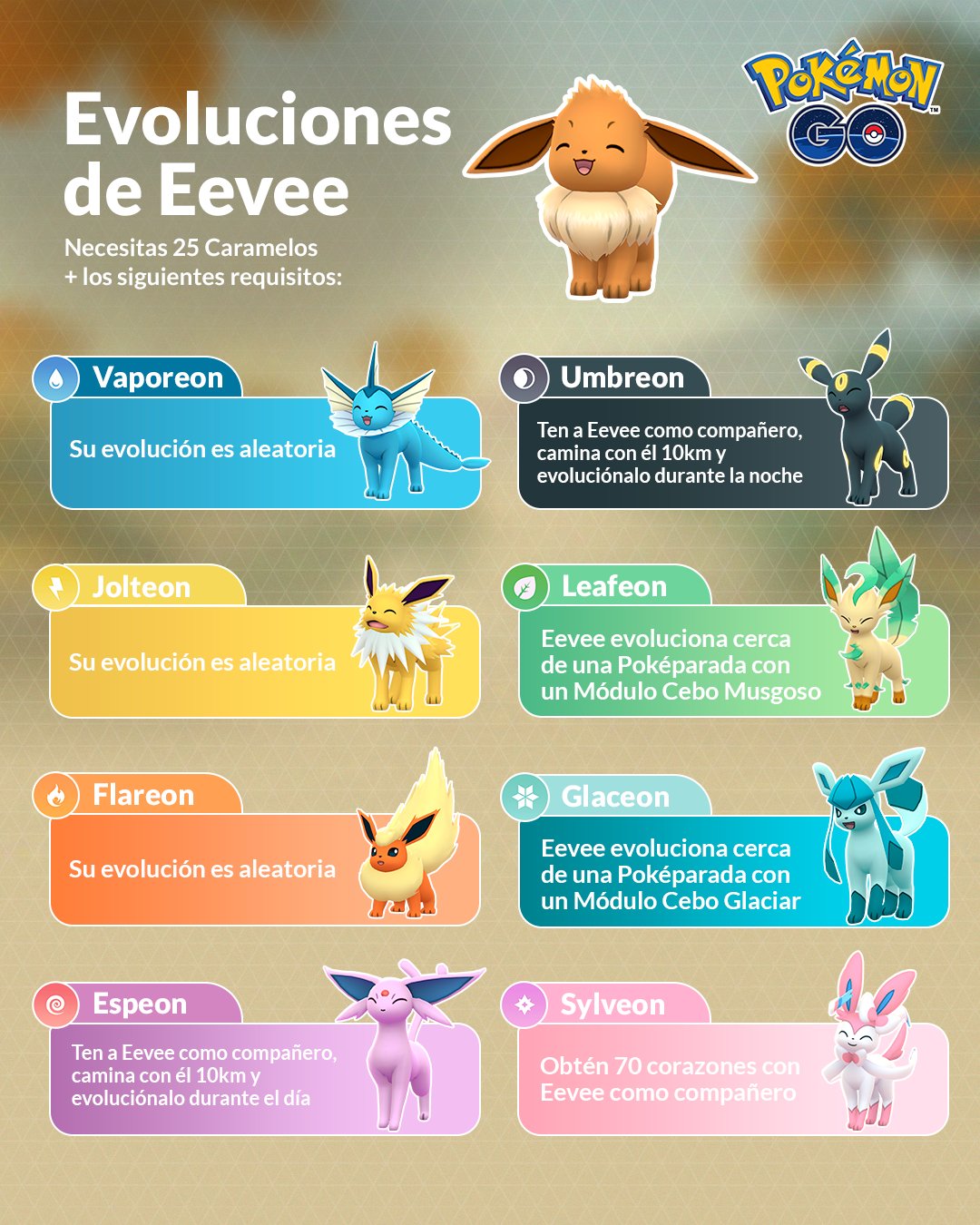  Evolution de Eevee