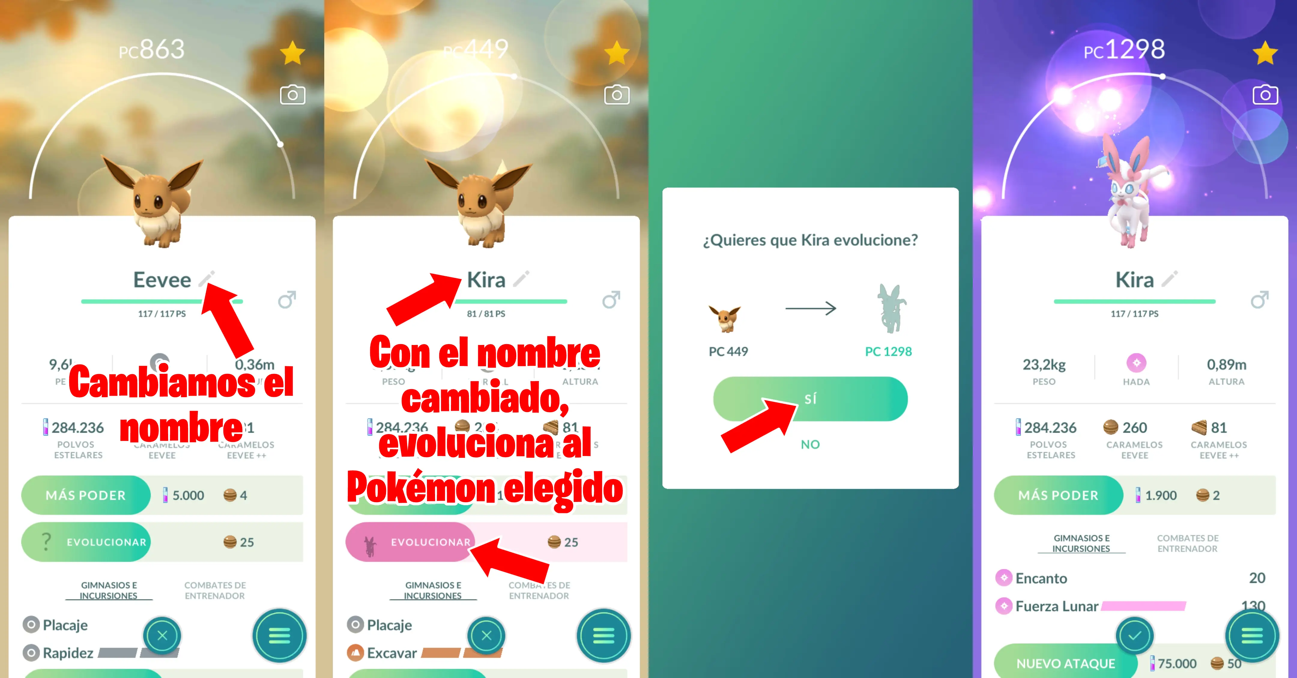 Pasos Para Cambiar El Nombre De Eevee a Kira