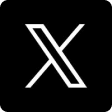 x icon