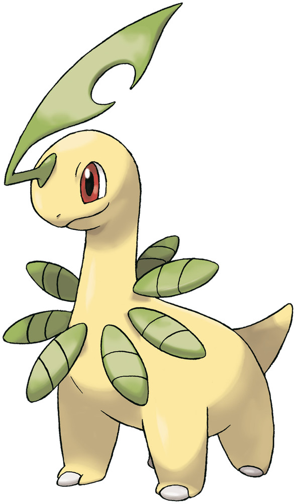 Bayleef image