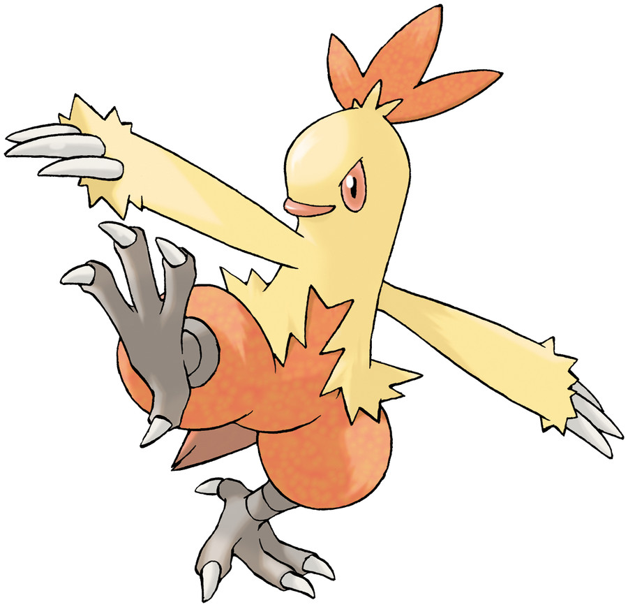 Combusken image