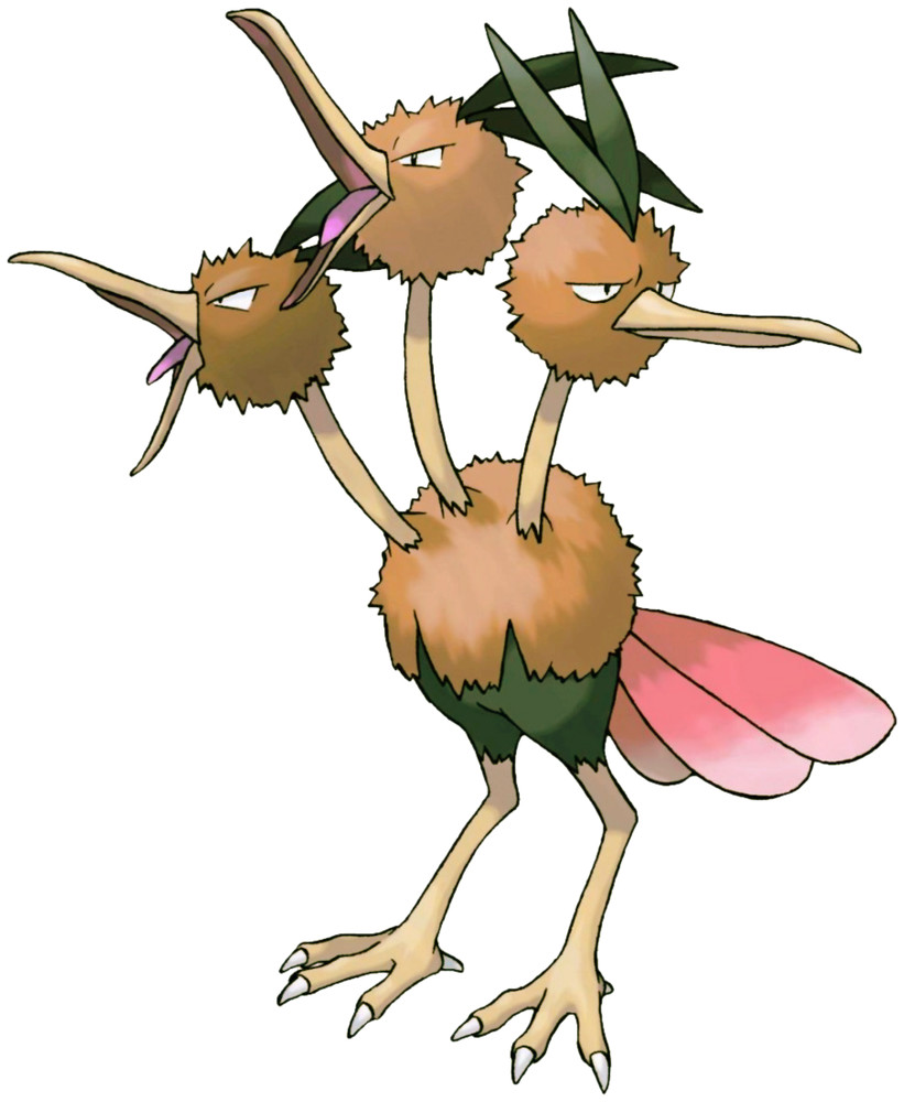 Dodrio image