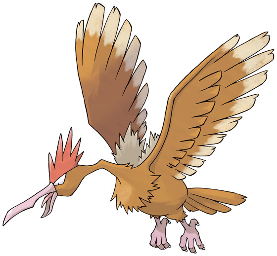 Fearow image