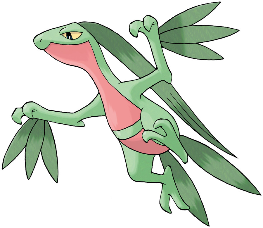 Grovyle image