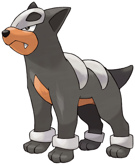 Houndour image