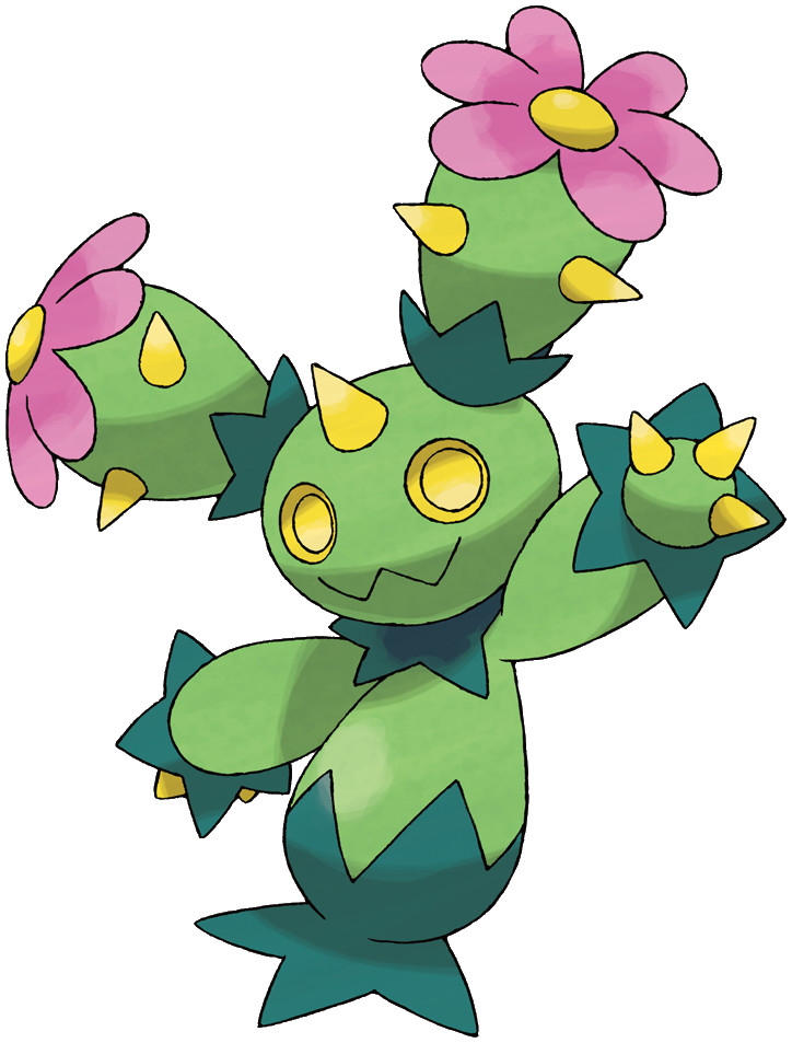 Maractus image