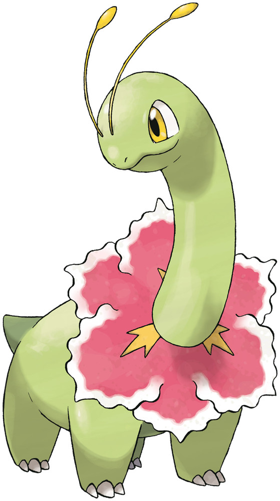 Meganium image