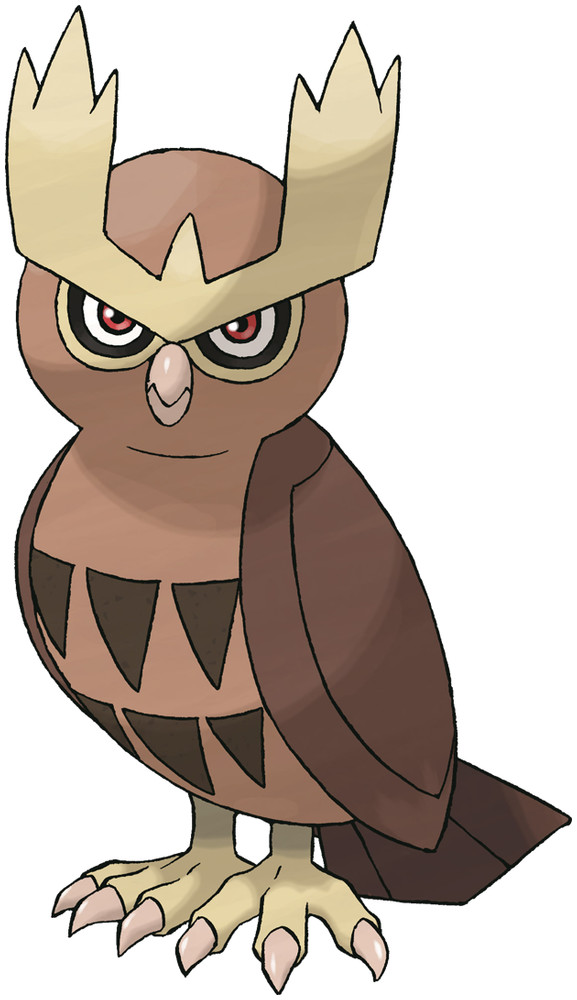 Noctowl image