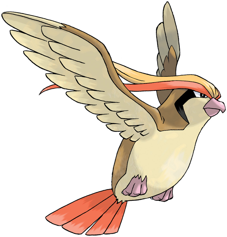 Pidgeot image