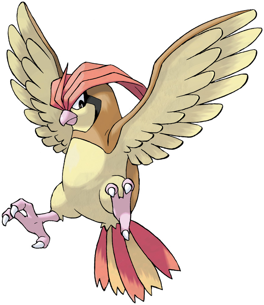 Pidgeotto image