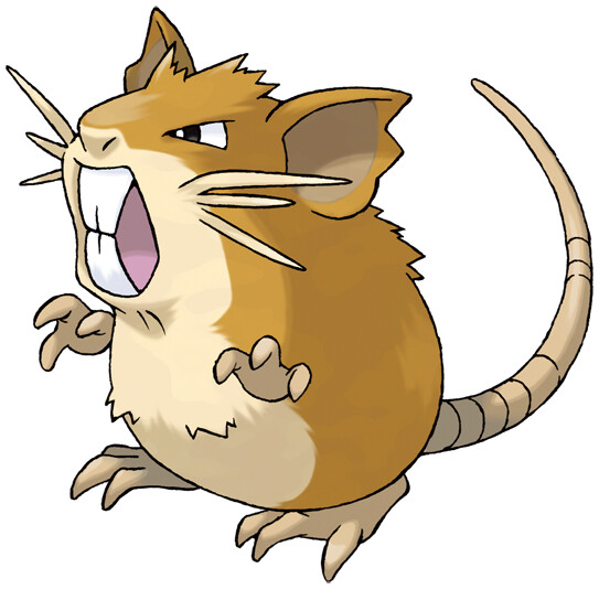 Raticate image