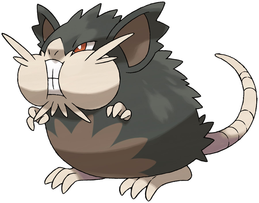 Raticate(Alolan) image