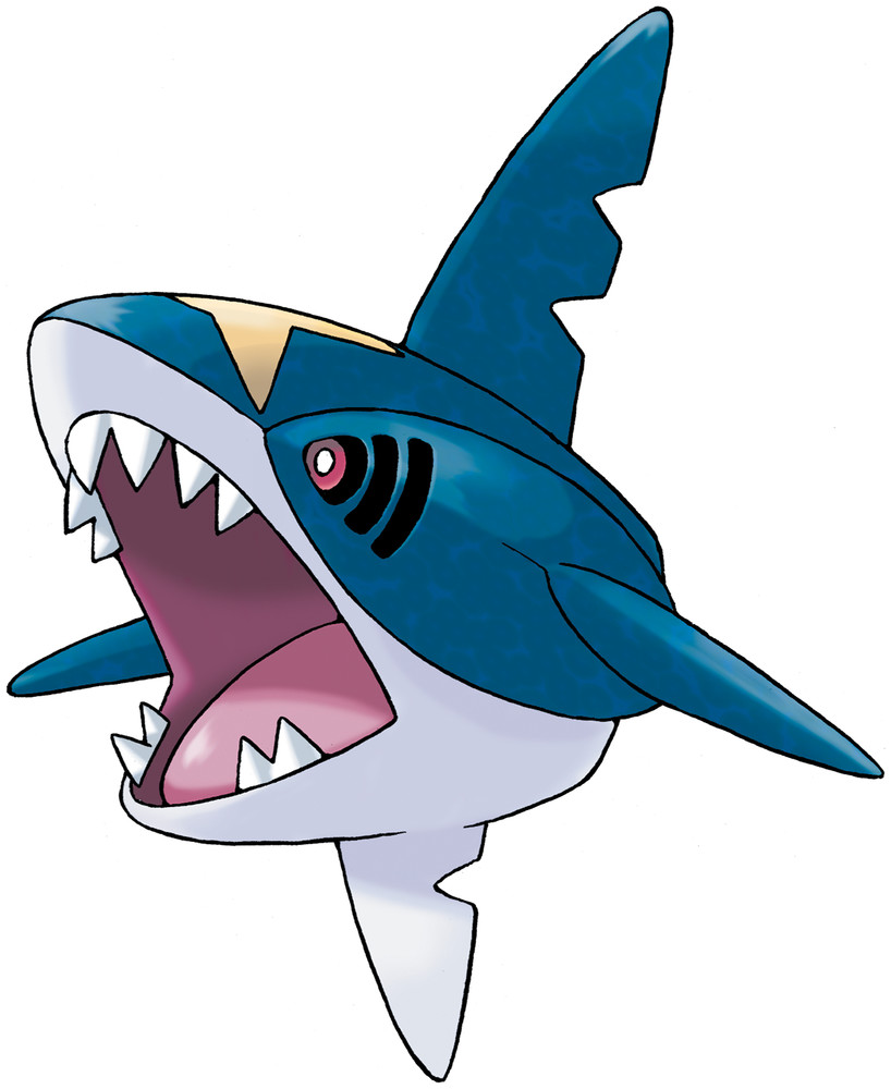 Sharpedo image