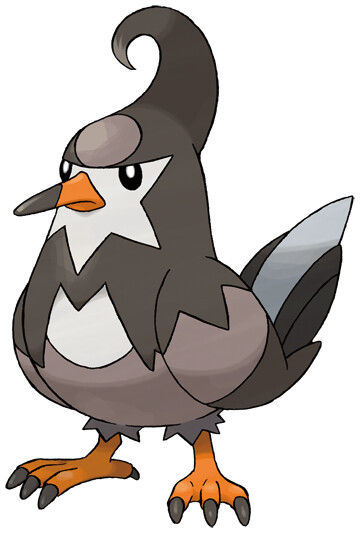 Staravia image