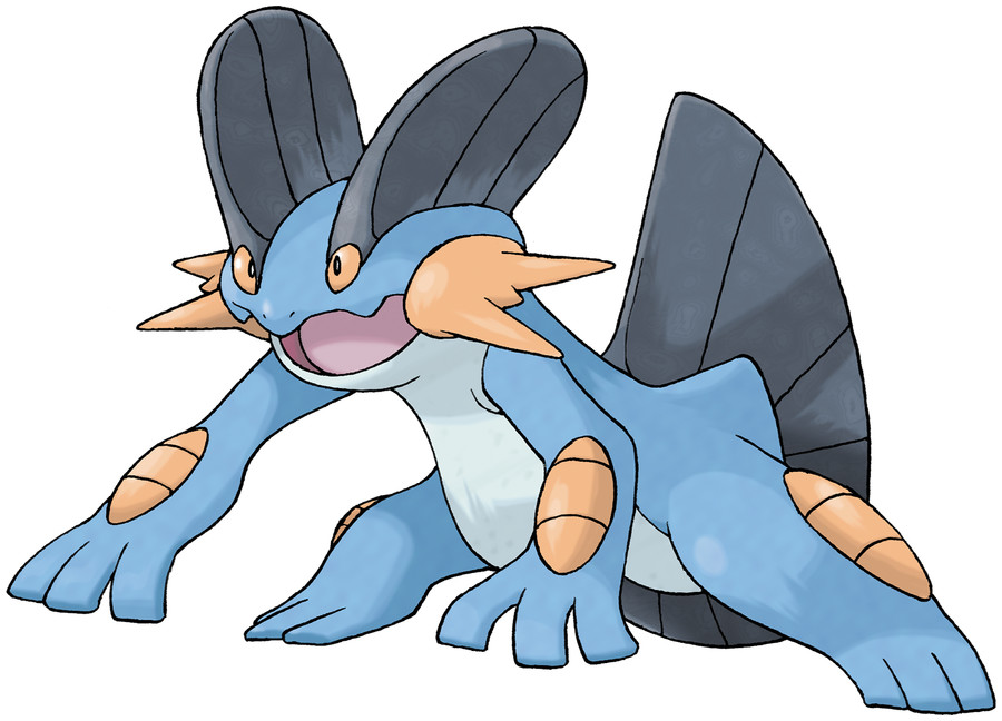 Swampert image