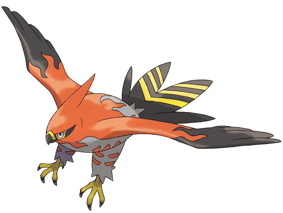 Talonflame image