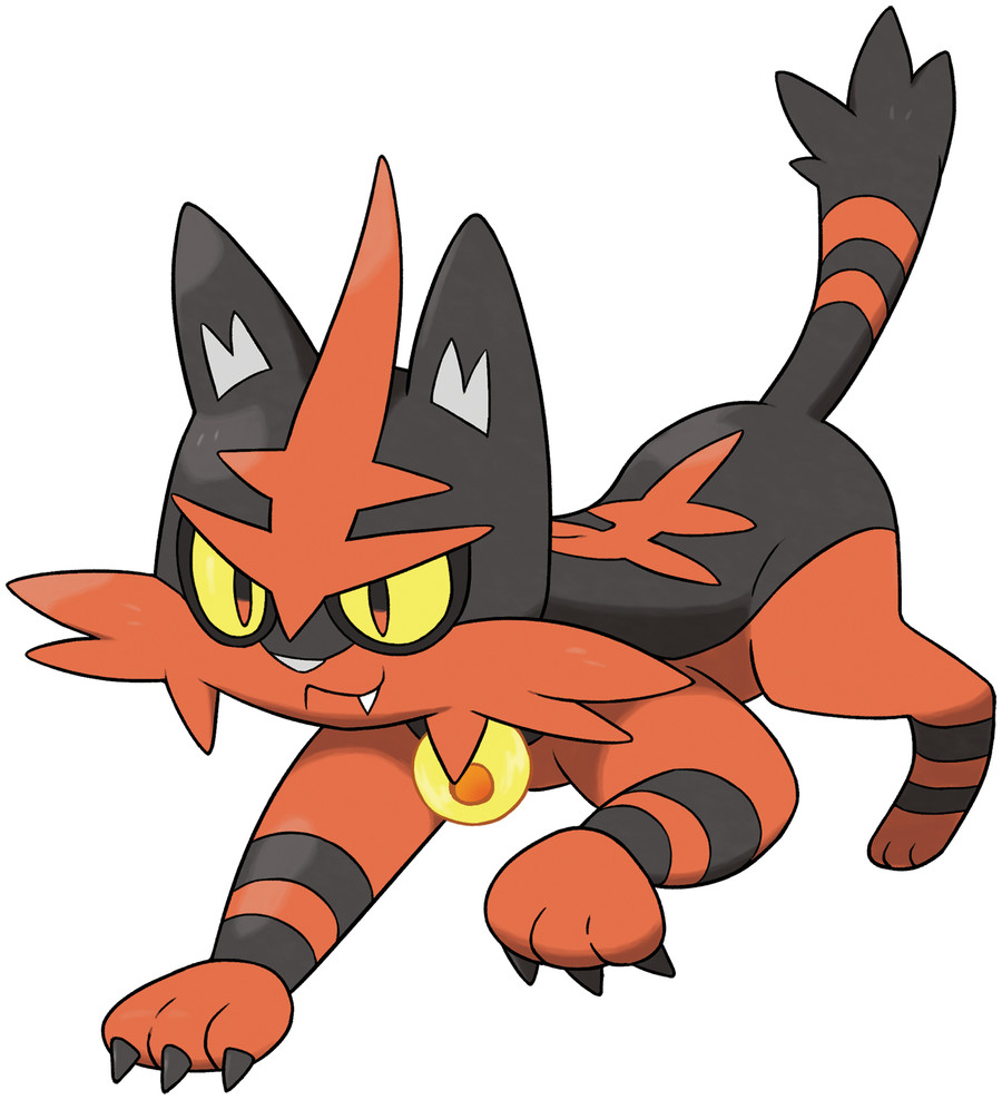 Torracat image