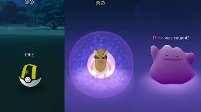 HOW TO CATCH SHINY DITTO IN POKEMON GO! 