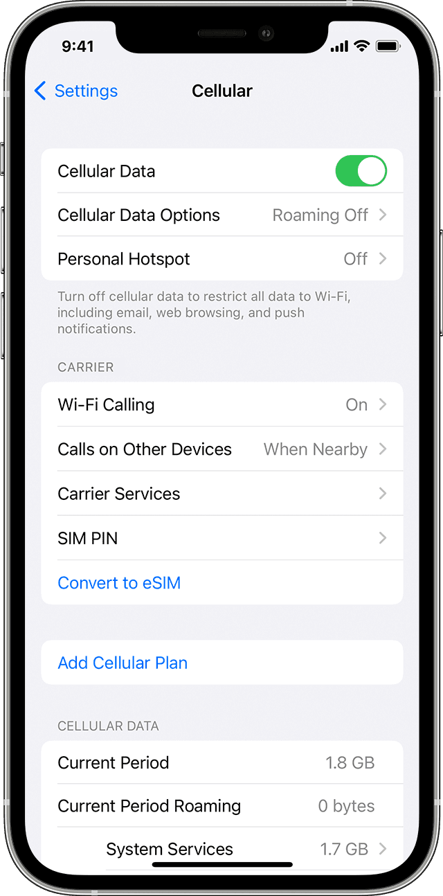 Turn on Cellular Data.