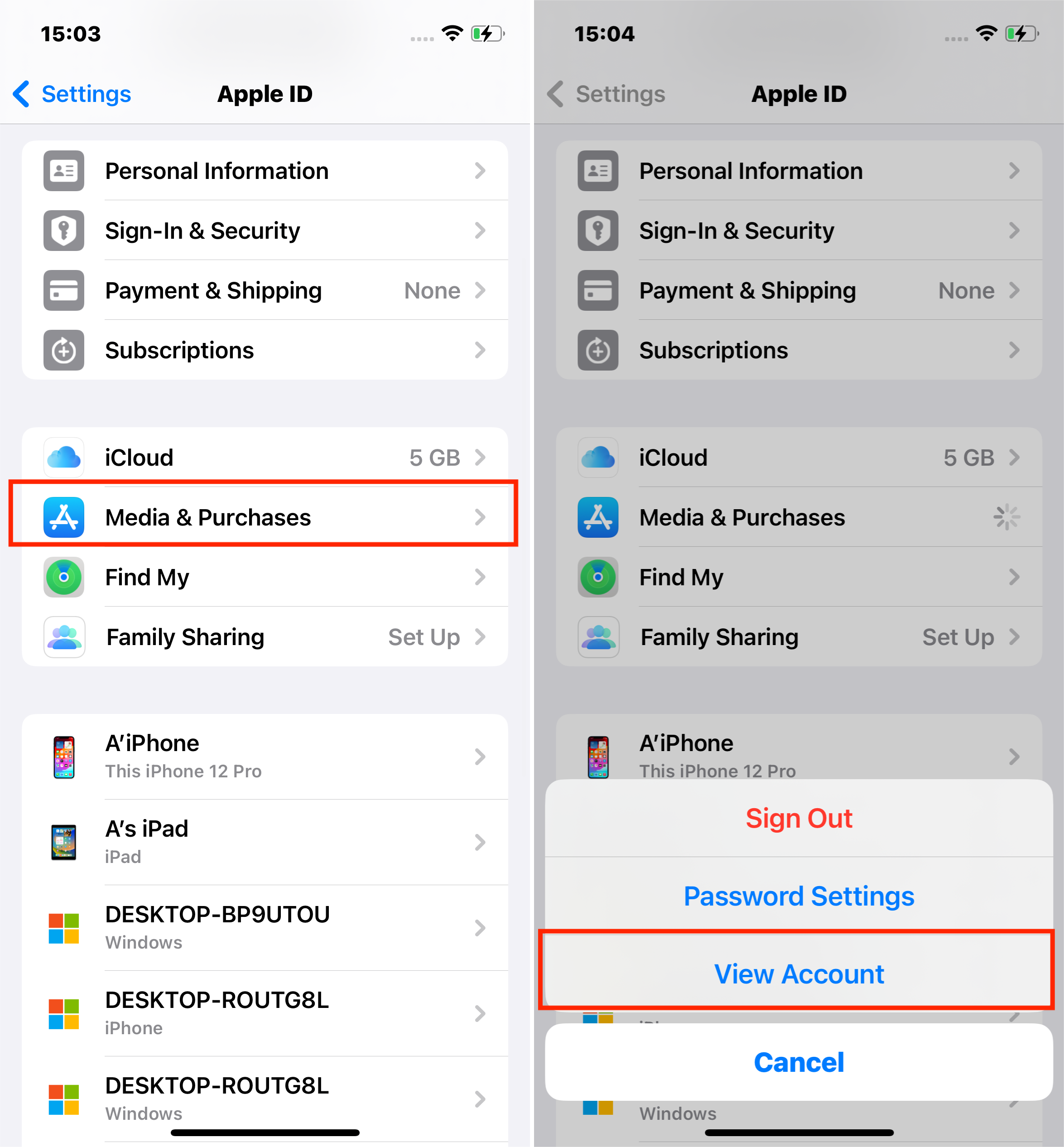 Steps to View Media and Purchases Account via iPhone Settings