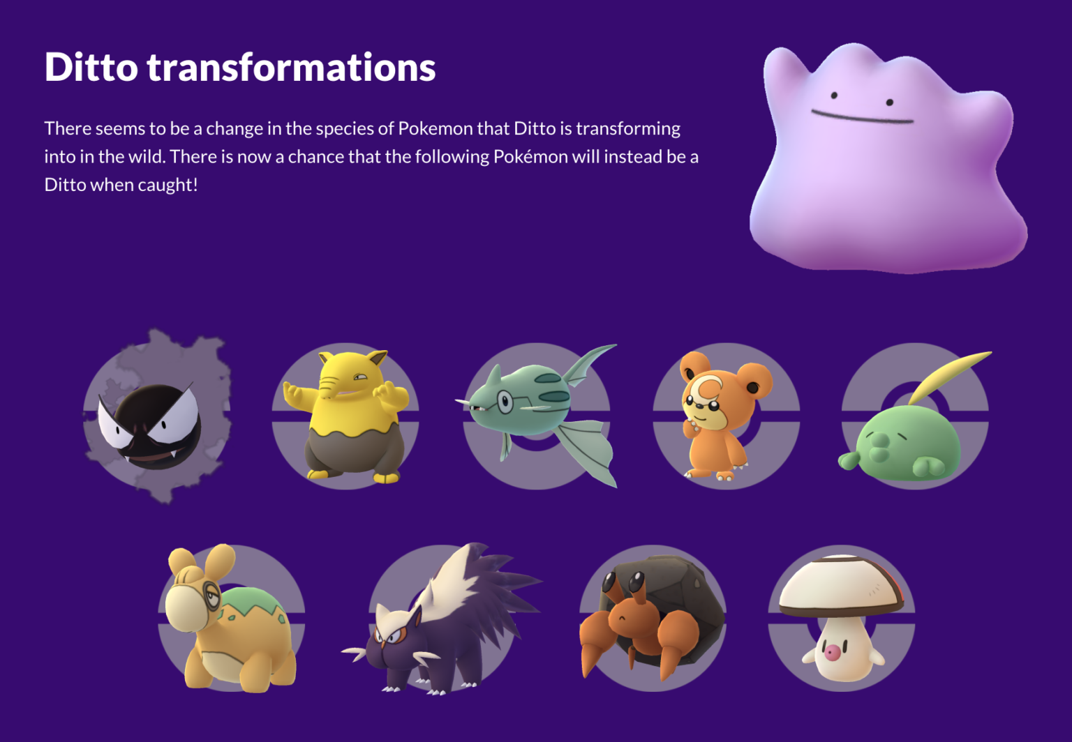 Ditto Transformations Pokémon