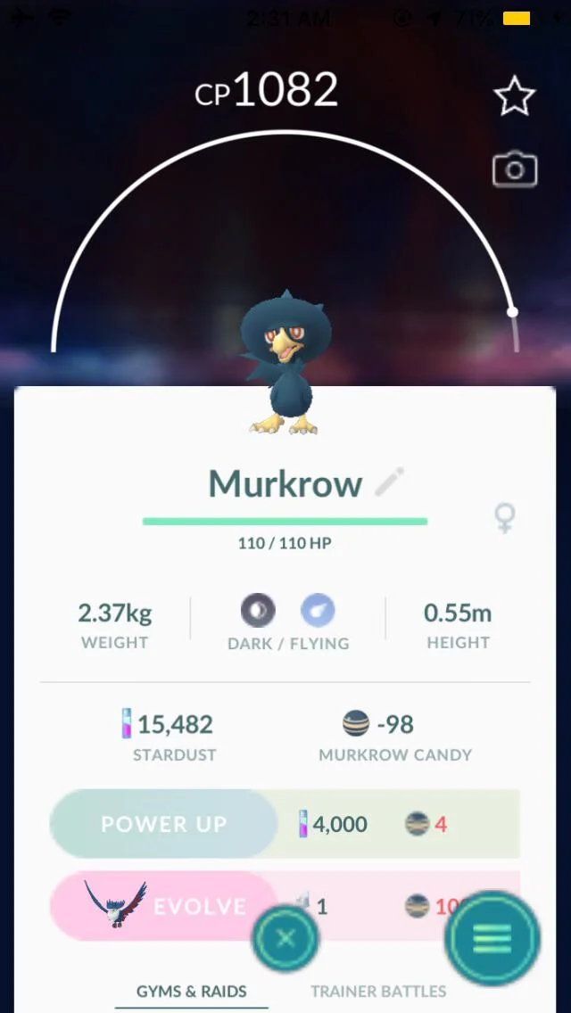 Murkrow Cp