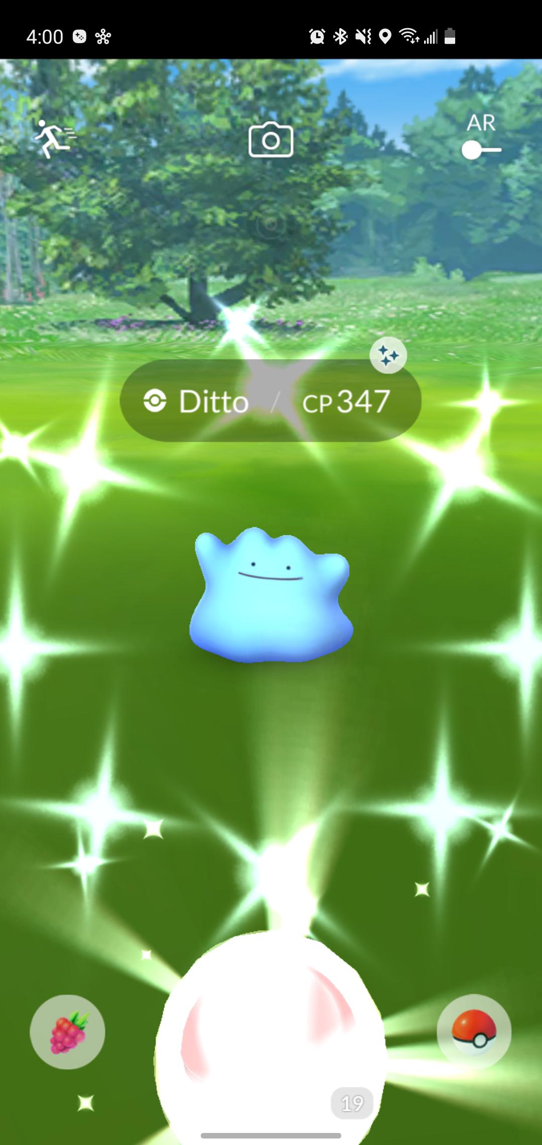 Shiny Ditto Cp347