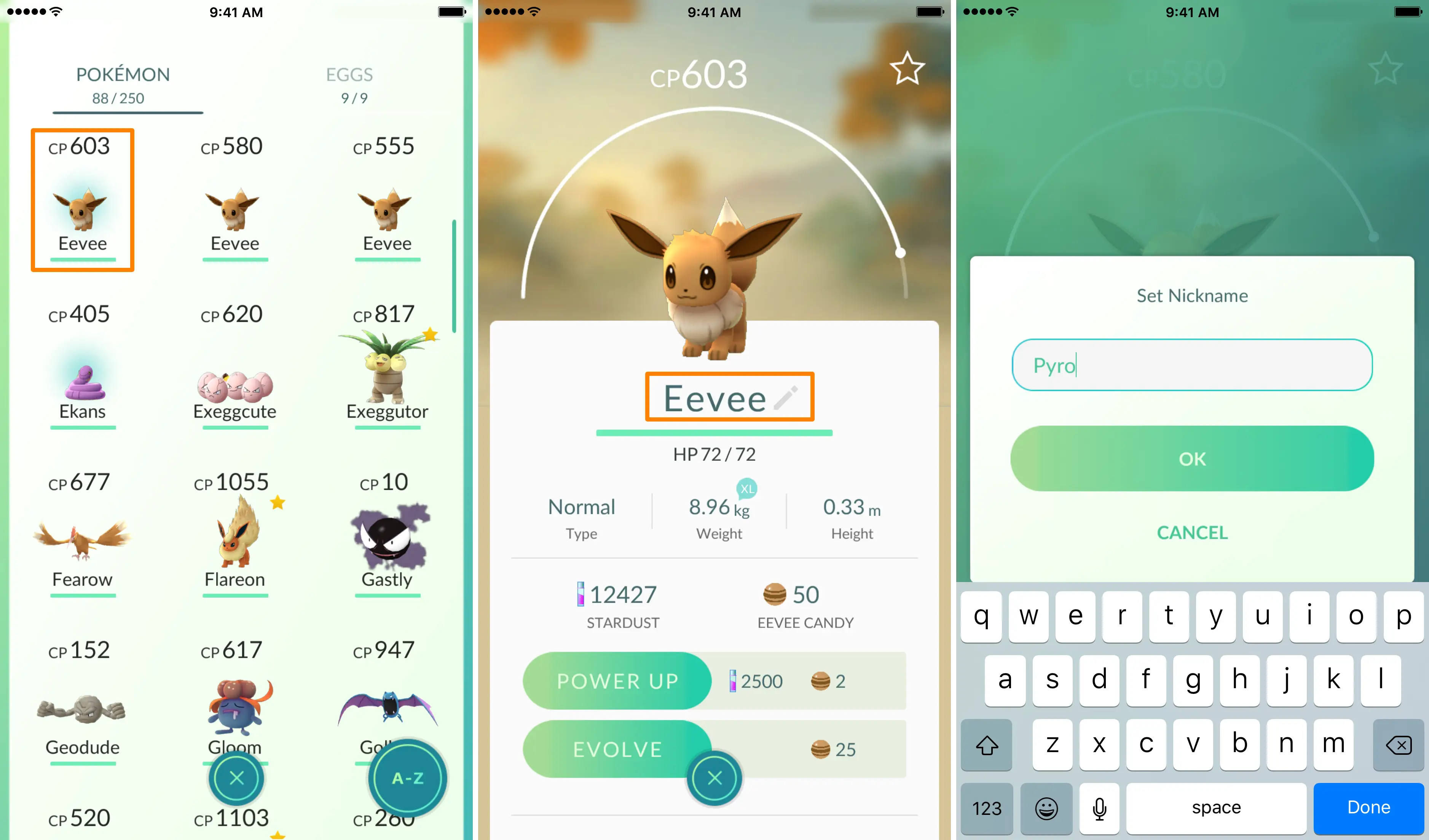 Steps To Set Eevee Nickname Pyro Cp 603